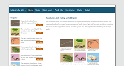 Desktop Screenshot of copperheadsnake.net